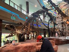 -安徽省地质博物馆