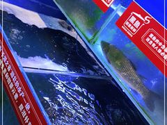 -集草轩·重庆麻辣烤鱼(西湖道店)