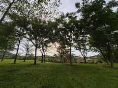 -东莞植物园