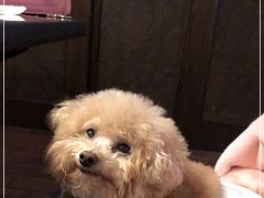 -尚水长廊铁板烧(荣祥广场店)