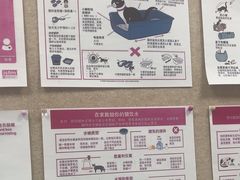-美联众合爱康动物医院•复杂内科•肿瘤科•牙科•腔镜诊疗中心