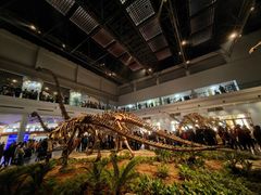 -自贡恐龙博物馆