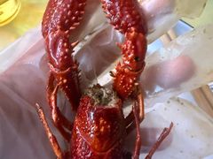 -小田油焖小龙虾(双井店)