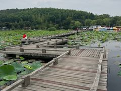 -南北湖风景区