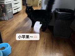 -艾泽瑞斯图文快印打印复印证件照设计名片画册(艾泽瑞斯打印复印洗照片店)