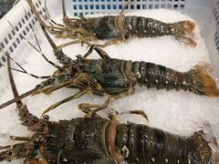 -盒马鲜生(莱蒙都会店)