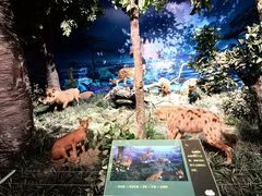 -国家自然博物馆