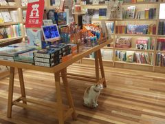 -猫的天空之城概念书店(苏州平江店)