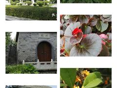 -重庆彩云湖湿地公园