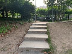 -嘉定紫藤园