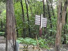 -云龙山