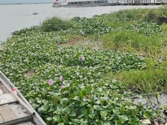 -阳澄湖半岛旅游度假区