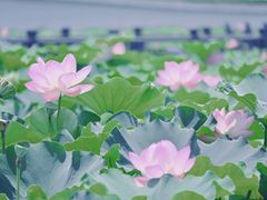 -重元寺