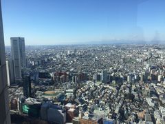 -东京都厅舍