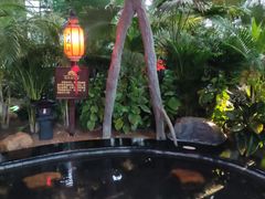 -东方华地城湿地温泉度假区