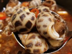 -金苑海鲜酒家(来魅力店)