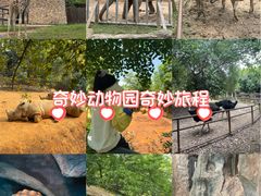 -南昌动物园