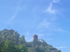 -缙云山景区