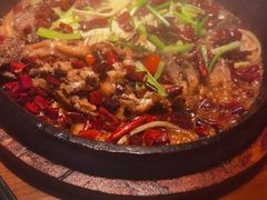 -老板恋上鱼(恒隆广场店)