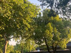 -杭州西湖柳莺里酒店·闻莺厅