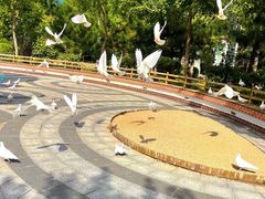 -南宫五洲植物乐园