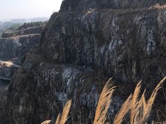 -黄埔油麻山森林公园
