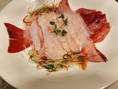 东星斑-御宝轩(益丰·外滩源店)