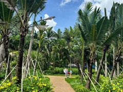 -西双版纳傣族园