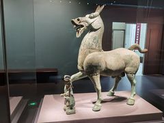 -广西壮族自治区博物馆