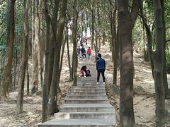 -火炉山森林公园