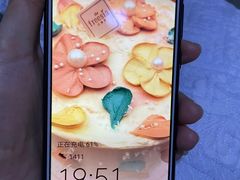 -小苍兰风铃草蛋糕甜品(沈阳店)