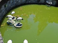 -峙山公园