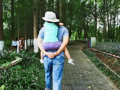 -桤木河湿地公园