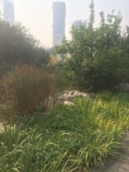 -大望京儿童游乐场