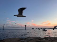 -大连君悦酒店·星海湾壹号Dalian·Dalian(星海广场店)