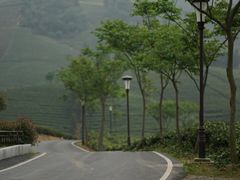 -帐篷客·溪龙茶谷度假酒店