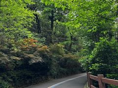 -杭州半山国家森林公园