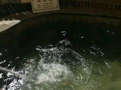 -河北霸州茗汤日月潭温泉