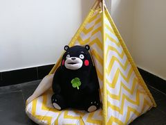 -阿狗圆子