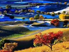 -御道口草原森林风景区