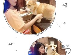 -more than meow吴止猫主题餐厅(承德 中船汇店)