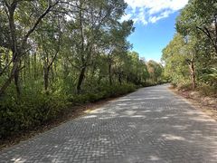 -上海海湾国家森林公园