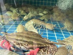 -鲜鲜·鲅鱼圈海鲜(于洪店)