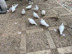 -昆明动物园