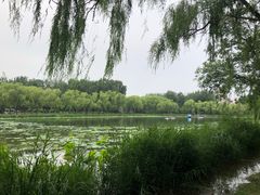 -WhaleSports户外水上运动俱乐部(朝阳公园店)