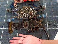 -鸿港海鲜批发市场