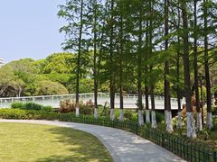 -昆山城市公园