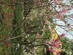 -上海市龙华烈士陵园