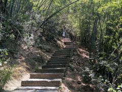 -长沙黑麋峰国家森林公园