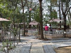 -陶缘一号·四季缘·老字号顺德菜·户外婚礼家宴(西滘店)